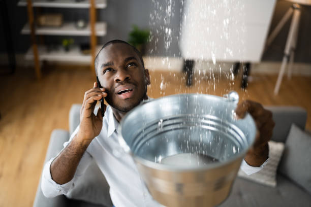 Best Water damage restoration cost  in Henderson, TN