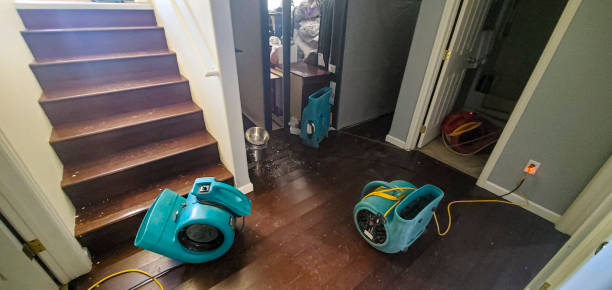 Best 24/7 water damage repair  in Henderson, TN