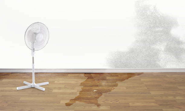 Best Flood restoration services  in Henderson, TN