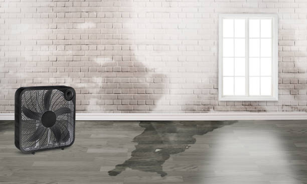 Best Fire Damage Restoration  in Henderson, TN