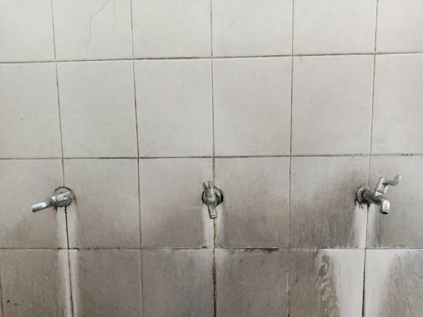 Best Basement water damage restoration  in Henderson, TN