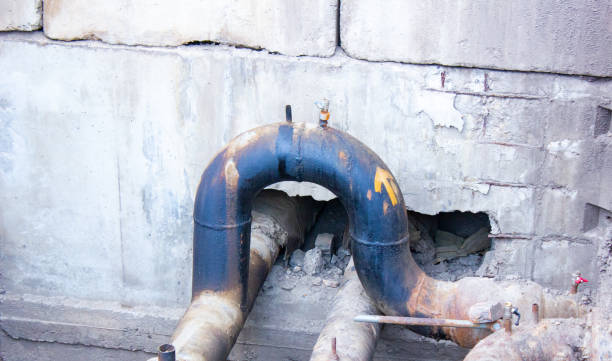 Best Water damage cleanup near me  in Henderson, TN