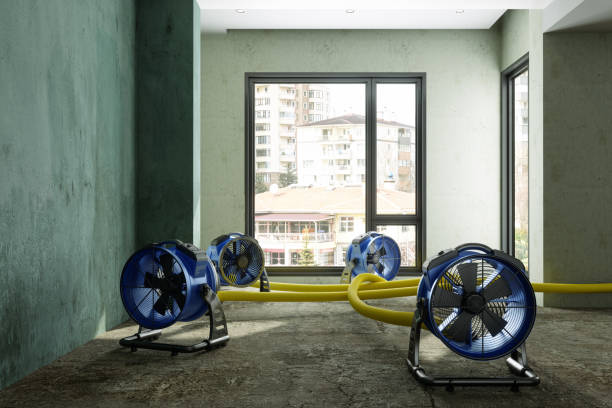 Best Water damage contractors near me  in Henderson, TN